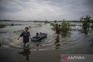 tanggul-sungai-tuntang-jebol-picu-banjir-berkepanjangan-di-demak
