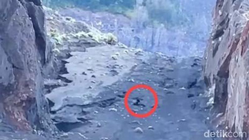 tiga-helikopter-disiapkan-evakuasi-wna-brasil-jatuh-di-gunung-rinjani