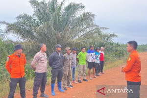 tim-sar-babel-cari-nenek-hilang-di-perkebunan-cit