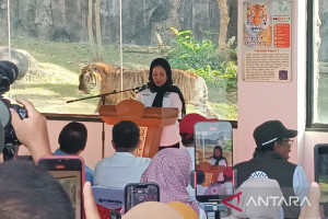 titiek-soeharto-beri-nama-anak-harimau-di-bukittinggi