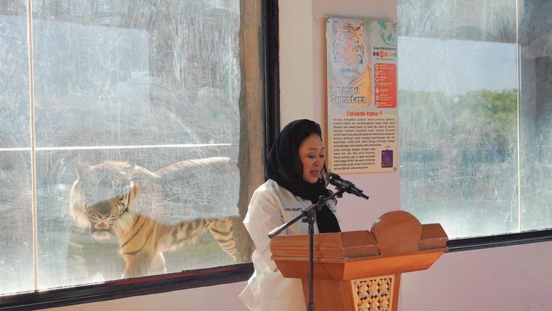 titik-soeharto-nihai-nama-anak-harimau-langka-dari-sumatera