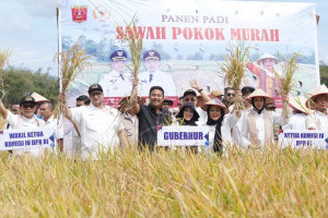 titik-soeharto-puji-inovasi-petani-agam-dengan-metode-spm-dalam-budidaya-padi
