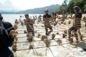 trenggalek-luas-kawasan-konservasi-laut-untuk-destinasi-selam