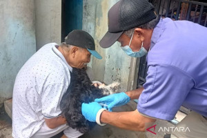 vaksinasi-rabies-di-jakarta-barat-capai-40-persen-dari-target