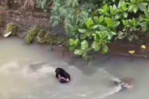 viral-video-pria-duduk-diam-di-tengah-sungai-bogor-warga-evakuasi