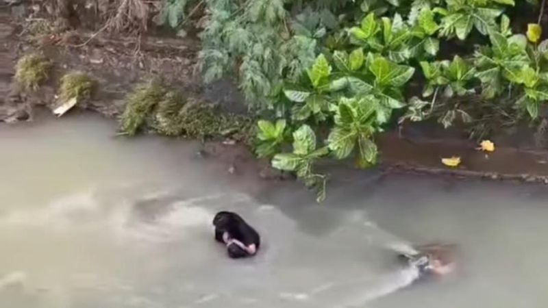 viral-video-pria-duduk-diam-di-tengah-sungai-bogor-warga-evakuasi