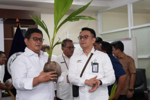 wamentrans-dorong-pengembangan-kelapa-genjah-di-kawasan-transmigrasi