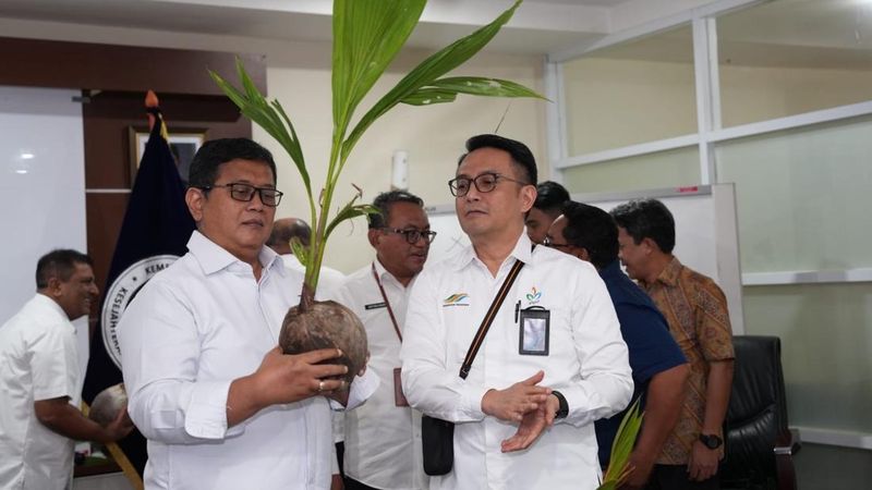 wamentrans-dorong-pengembangan-kelapa-genjah-di-kawasan-transmigrasi