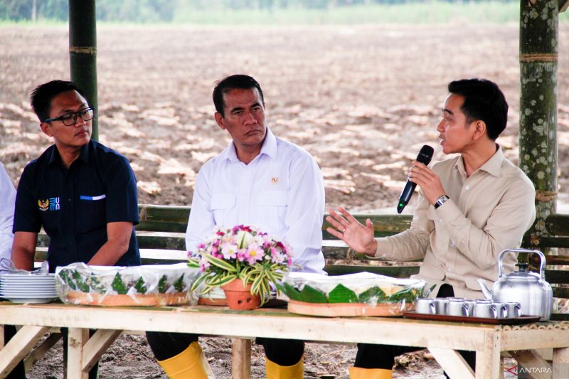 wapres-gibran-minta-kementan-tingkatkan-pencegahan-krisis-gula-nasional