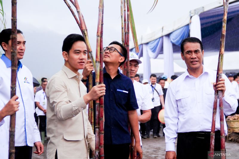 wapres-gibran-tindaklanjuti-aspirasi-petani-tebu-jls-banyuwangi-jember