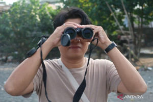 wisata-edukatif-pengamatan-burung-di-pantai-ampenan-lombok